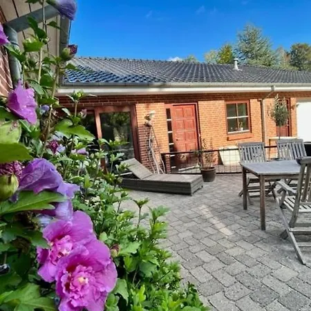 Starboard For Rent Near And Harbour *